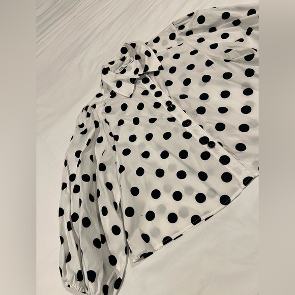 Zara Tops - Zara Polka Dot Button-Up Cropped Blouse